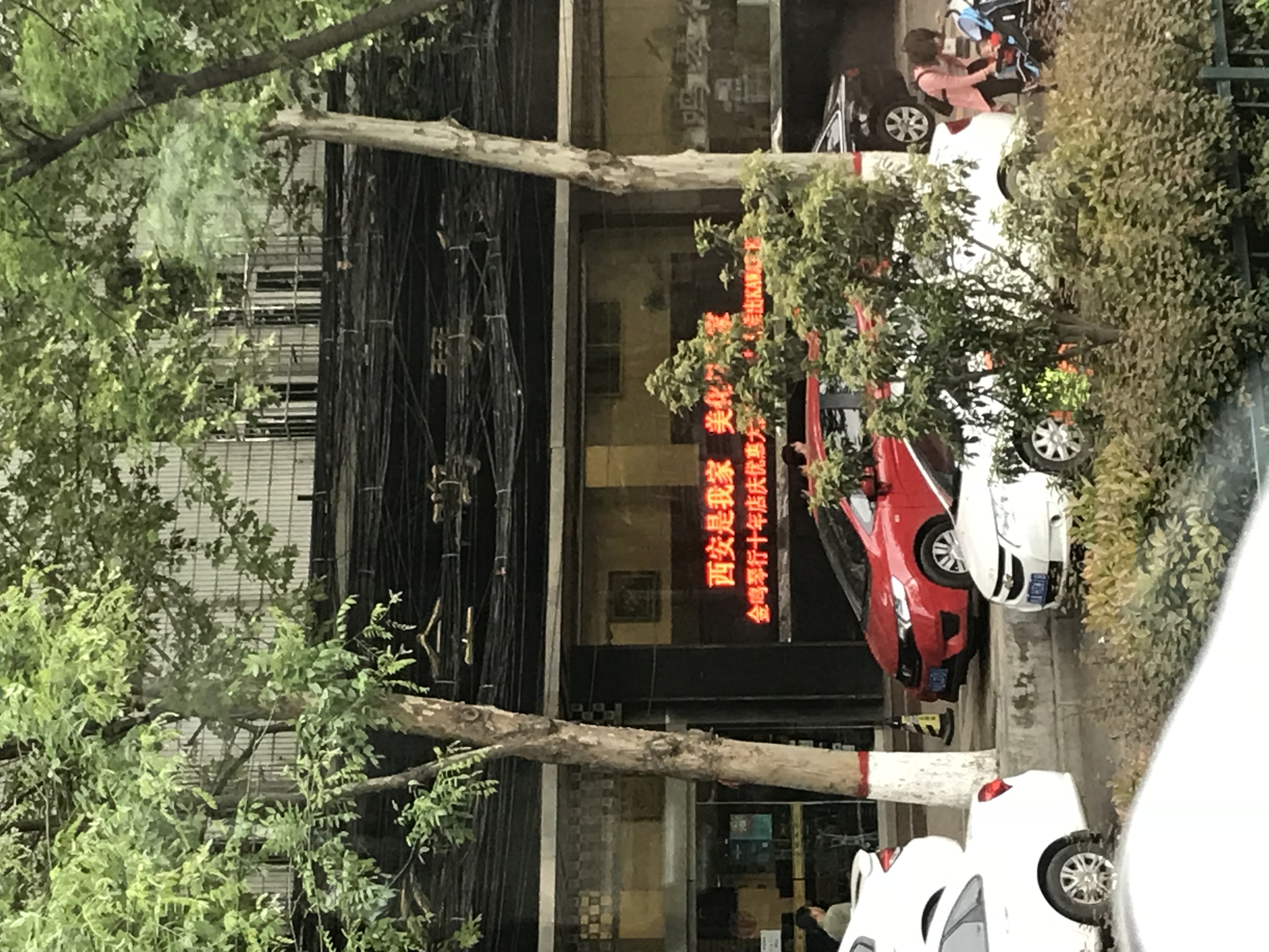 ./2018/03 - Viking China/11 - Xian/IMG_6595.JPG